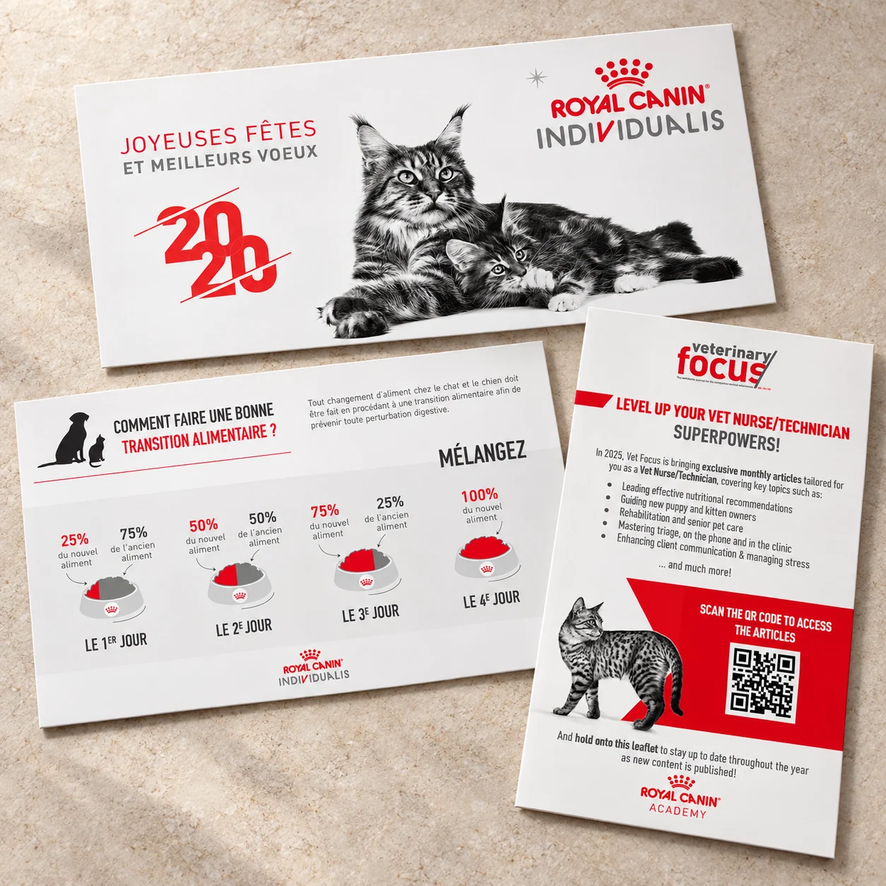 Royal Canin : carte de vœux, infographie et flyer